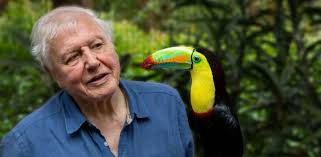 Attenborough's Life in Colour, BBC1, review: an exotic, amusing celebration  of nature's vibrance