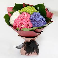Looking for fresh blue hydrangea flower? Online Beautiful 4 Colour Hydrangea Bouquet Gift Delivery In Uae Ferns N Petals