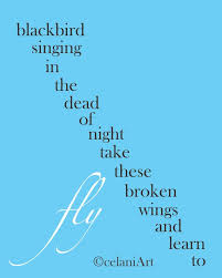 Blackbird Singing In The Dead Of Night Lyrics You Were Only Waiting For This Moment To Arrive Lyrics To Live By