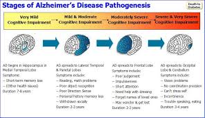 Alzheimers Disease 7 Natural Remedies Ex Diabetic