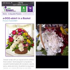 The company also sells birthday cakes, stuffed animals for giving, fruit and gift baskets, personalized presents and keepsake gifts. Reddit 1800 Flowers