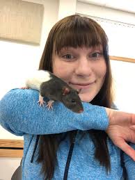 Adopting pet rats in Rexburg, Idaho