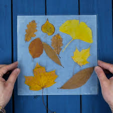 Im Herbst Gibt Es Viel Naturmaterial Zum Basteln Zum Beispiel Buntes Laub Vom Waldspaziergang Hieraus Fertigst Du E In 2020 Frames Diy Crafts Paper Crafts Diy Crafts