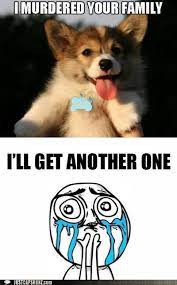 Animal Comedy I Love You Animal Comedy Animal Comedy Funny Animals Animal Gifs Cheezburger