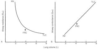 Image result for Functional Residual Capacity