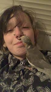 Tw: pet loss This morning, my mom and I's baby went over the #rainbowbridge  after a short but intense illness. We met Sherlock as a little baby in  2014, just a few