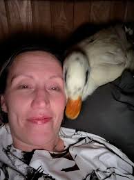 Raising Ducks and Geese