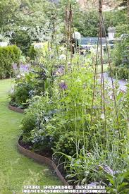 Pin On Gardens