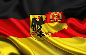 Image result for Glebionis carinata `German Flag`