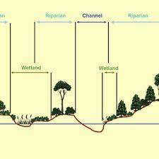 Beschta states that riparian restoration is the reestablishment of riparian functions and related physical, chemical, and biological linkages between Pdf Riparian Areas Of Greece Their Definition And Characteristics