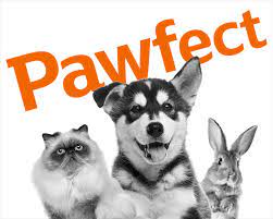 Best rabbit pet insurance companies. Rabbit Insurance Get A Quote Now Sainsbury S Bank