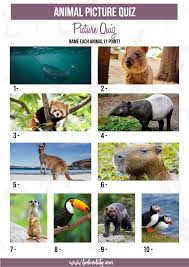 Here are some fun trivia questions that are perfect for starting off your trivia game. The Ultimate Animal Trivia Quiz 88 Questions And Answers About Animals Wildlife Beeloved City