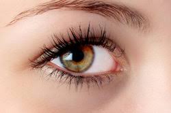 60 schminkideen für den speziellen anlass haar lila lidschatten rosa lippenstift dunkle wimpern mascara. Welcher Lidschatten Fur Braun Grune Augen So Schminken Sie Sich Dezent