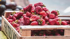 Das ist eine menge an fruchtzucker, die zu verträgst, ohne dass die symptome auftreten. 8 Kostliche Fruchte Und Beeren Mit Ganz Wenig Zucker Maxima