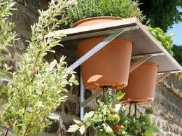 Toom Kreativwerkstatt Upside Down Tomate Mit Bildern Tomaten Garten Pflanzideen Garten Pflanzen