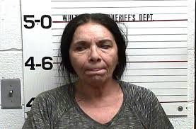 7 arrested in drug sting by White County Sheriff's Office