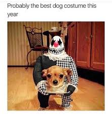 27 Spooky Memes That Will Only Be Funny If You Re Obsessed With Halloween Spooky Memes Funny Halloween Memes Halloween Memes