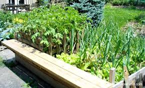 It may not be the most beautiful garden bed but i was happy to recycle these 2x2 foot concrete pavers that were lying around. How To Garden In Raised Beds On Pavement Tenth Acre Farm