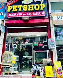 cadde petshop sokak hayvanlari icin ucretsiz mama dagitti sokak hayvan manti