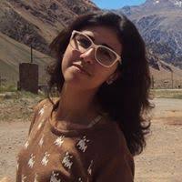 Frank Gehry: The Houses by Mildred Friedman