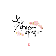 캘리그라피 좋은글 사랑글귀 꽃이 당신보다 어여쁠까 꽃보다 더 어여쁘게 바라봐주는 이를 만나세요 편지 손글씨 문구 손글씨