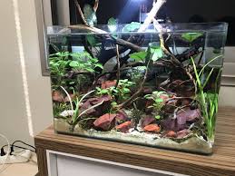 Reeflowers Sivi Gubreler Ve Kullanimi