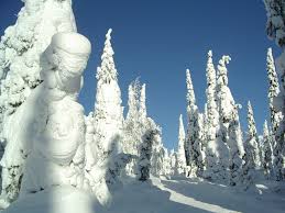 Crown Snow Load Wikipedia Select from premium snow trees images of the highest quality. crown snow load wikipedia