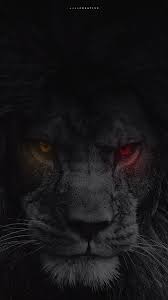 Galatasaray Siyah Aslan Aslan Duvar