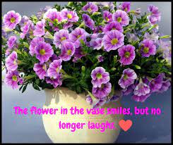 Flower Quotes Flower Delivery Flowers Flower Quotes