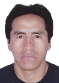 Ingresos de Otorongos Elecciones 2022