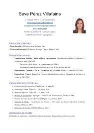 ¿buscas un ejemplo de curriculum vitae funcional? Modelo De Curriculum Vitae More Cv Samples