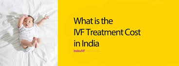 Many government schemes help the couple to fulfil their dream of achieving parenthood providing the insurance covered for ivf. Ivf Cost What Is The Ivf Treatment Cost In India Indira Ivf