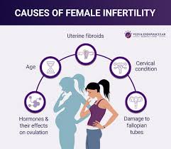 Image result for Female Infertility