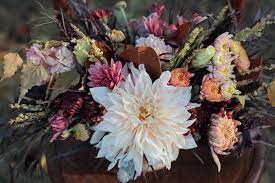 Fuji Mums Flower Hair Best Flower Wallpaper