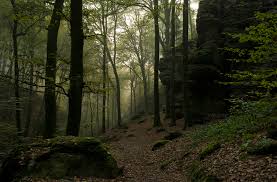 Müllerthal) is a subregion of the luxembourgian grevenmacher district. Mullerthal Trail