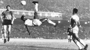 Umut meraş 20 aralık 1995 yılında i̇stanbul'da doğdu. Umut Meras Kimdir Nerelidir Sonhaberler