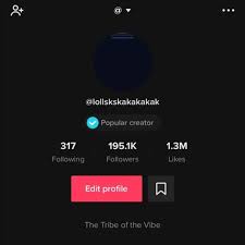 Tiktok Other Verified Tiktok Account With Almost 20k Followers Poshmark