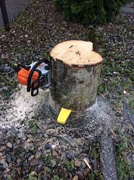 Certification is valid for 3 years. How To Become Arborist Technician In Bc West Coast Landscape Professional