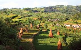 Vara trecuta am vizitat cetatea colt, de curand am terminat de citit cartea castelul din carpati de jules verne. 10 Locuri De Vizitat In Maramures Obiective Turistice Minimap Ro