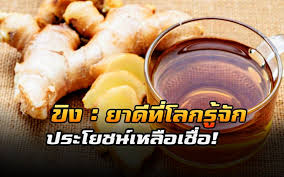 ข ง มหาโอสถอ นเก าแก ของเอเช ยโบราณ กว า ๕ ๐๐๐ ป ประโยชน เหล อเช อ อาหาร ส ขภาพ