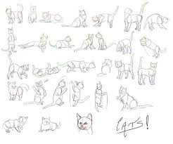 Image Result For How To Draw A Cat In Different Poses Katzenhaltung Katze Anatomie Katze Zeichnen
