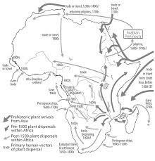 Importer and distributor of equipment, parts, chemicals, and other inputs to researchers, scientists, engineers and medical personnel. A Brief Agricultural History Of Cannabis In Africa From Prehistory To Canna Colony