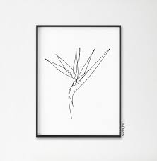 Birds Of Prey Flower Tattoo Bird Of Paradise Plant Wall Print Minimalist Art One Line Etsy In 2020 Birds Of Paradise Plant Bird Of Paradise Tattoo Paradise Plant