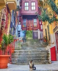 Adile Nasit Cikmaz Sokak Cihangir Istanbul Resimler Resim