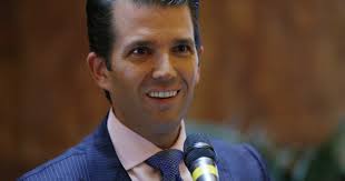 If Prosecutors Investigate Trump Tower Meeting, Here's How They Might  Tackle It