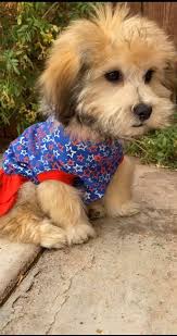 This is my real life from Bunkie Life . We love our little backyard escape.  We found out about Bunkie life during thier annual win a bunkie contest.  Sadly we didn't win