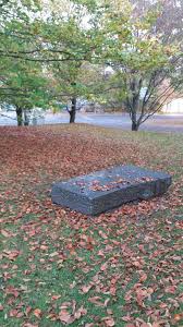 Britzer Garten Garten