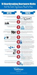 Heartworm medicines are available in a huge range and to select the best preventive medicine, ask your vet to prescribe one. Heartworm Disease In Dogs The Top 10 Myths And Why Dr Buzby Doesn T Believe Any Of Them And You Shouldn T Either Dr Buzby S Toegrips For Dogs
