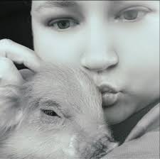 Amherst County Sheriff's Office