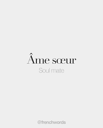 French Words On Instagram Ame Sœur Feminine Word Soul Mate ɑm Sœʁ French Words Quotes French Love Quotes French Quotes